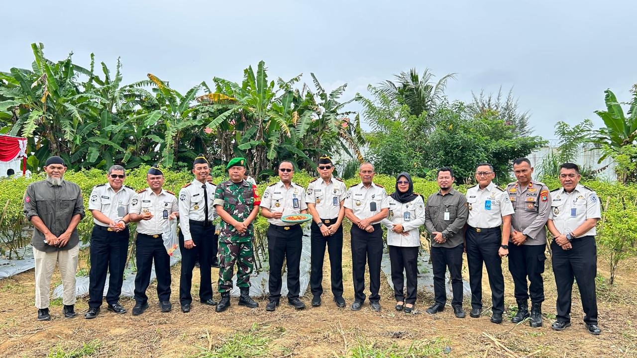 Panen Raya Serentak, Kanwil Ditjenpas Babel Dukung Ketahanan Pangan Panen Cabe Bangka